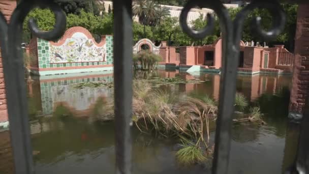 Lago Nos Jardins Pedro Luis Alonso — Vídeo de Stock