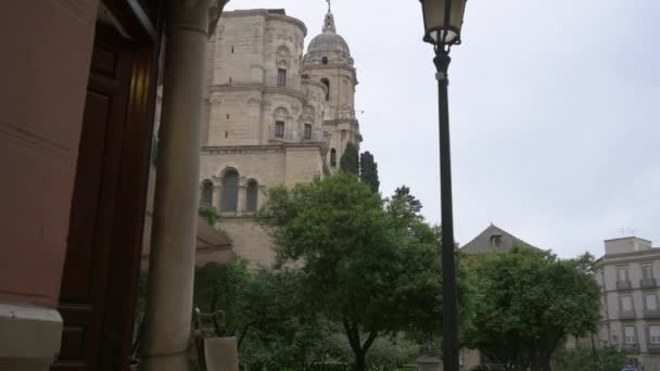 Árvores Catedral Málaga — Vídeo de Stock