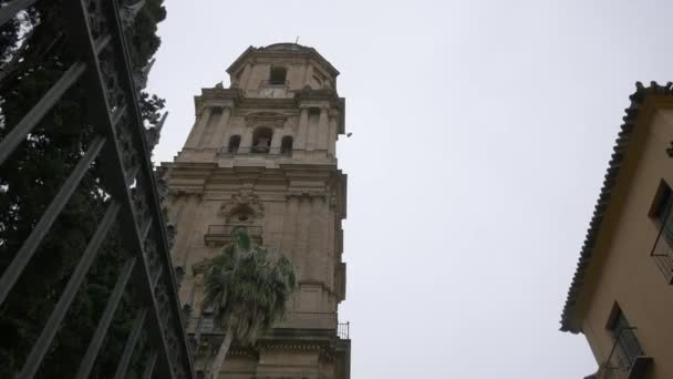 Baixo Ângulo Torre Catedral Málaga — Vídeo de Stock