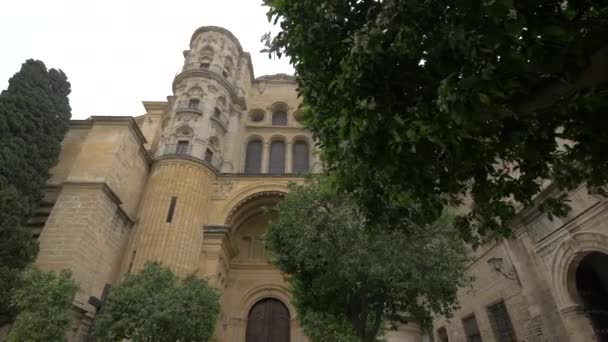 Låg Vinkel Södra Portalen Malaga Katedral — Stockvideo