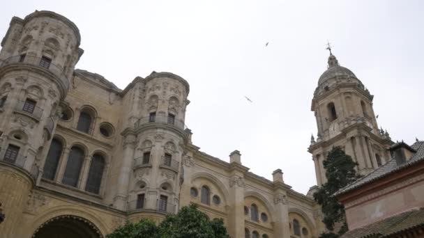 Catedral Málaga Edifício Antigo — Vídeo de Stock