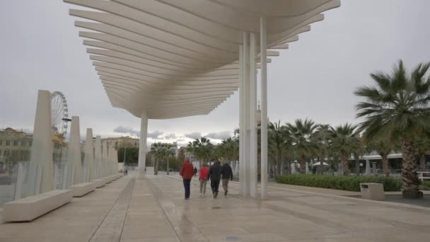 Paseo Del Muelle Uno — Wideo stockowe