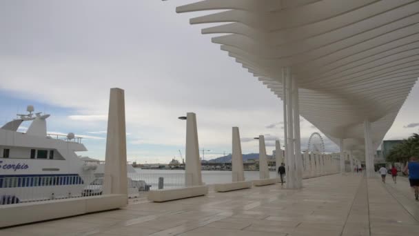 Haven Muelle Uno Passage Malaga — Stockvideo