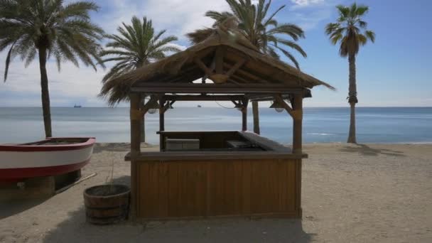 Gazebo Palm Tree Beach — Wideo stockowe