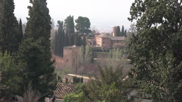 Forteresse Arbres Alhambra — Video