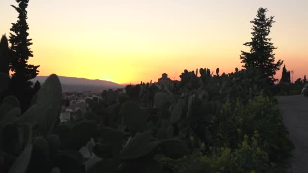 Granada Atardecer Vista Detrás Árboles Cactus — Vídeos de Stock