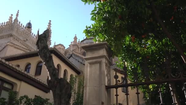 Die Kuppel Der Kathedrale Von Granada Hinter Einem Gebäude — Stockvideo