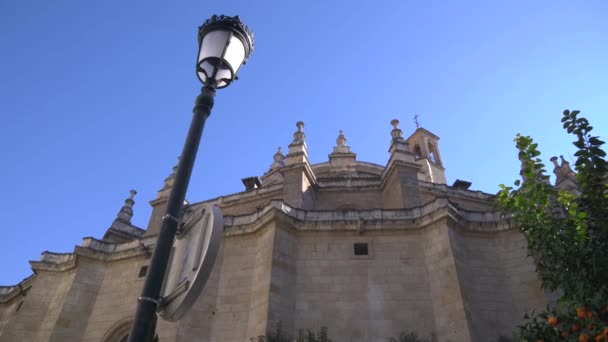 Catedral Granada Diego Silo — Vídeo de stock