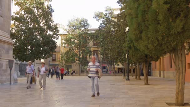 Caminando Una Plaza — Vídeos de Stock