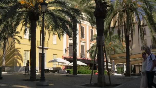 Palmbomen Klokkentoren Plaza Romanilla — Stockvideo