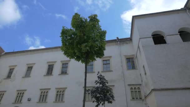 Tress Cortile Interno — Video Stock