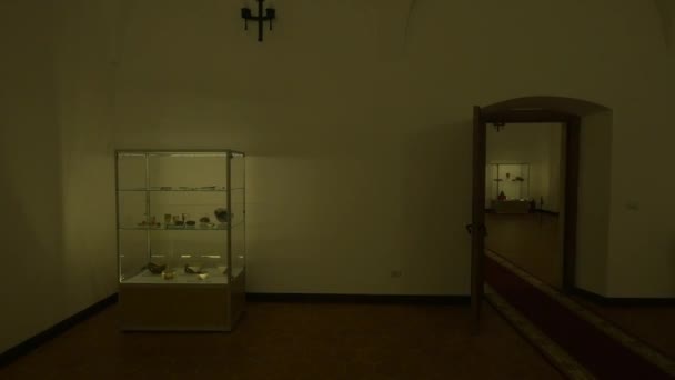 Exposições Caixas Vidro Uma Sala Museu — Vídeo de Stock