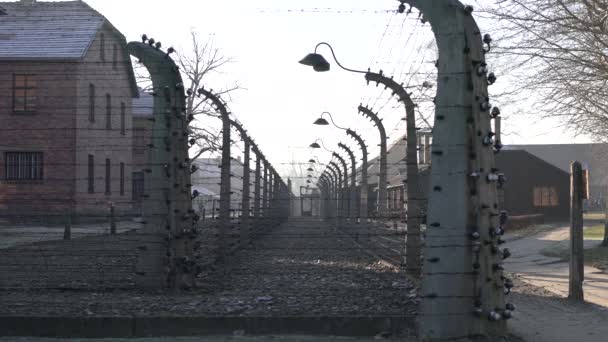Elektrisch Hek Auschwitz — Stockvideo