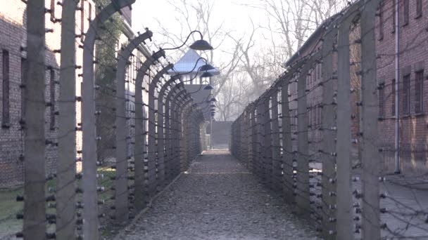 Cerca Eléctrica Auschwitz Birkenau — Vídeos de Stock