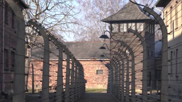 Auschwitz Çifte Elektrikli Çit — Stok video