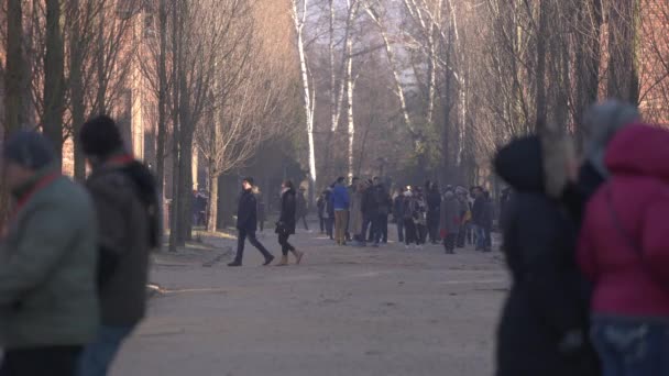 Auschwitz Deki Turistler Seyahat Konsepti — Stok video