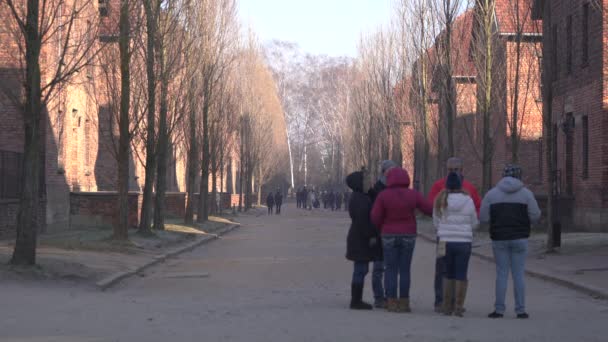 Nsanlar Auschwitz Avlusunu Ziyaret Ediyor — Stok video