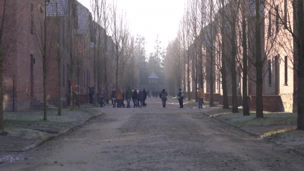 Bezoek Aan Gevangenenblokken Auschwitz — Stockvideo