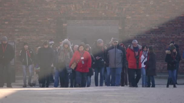 Tour Gids Leidende Groep Bezoekers — Stockvideo