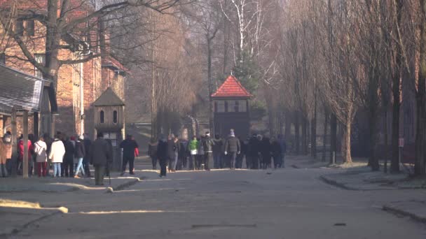 People Visiting Auschwitz Courtyard — Stock Video
