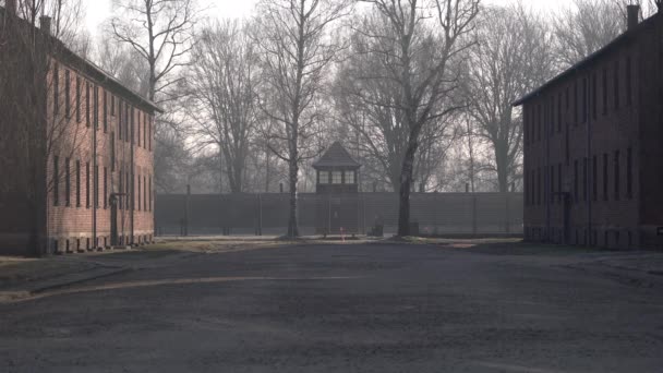 Torre Vigilancia Dentro Del Museo Auschwitz — Vídeo de stock