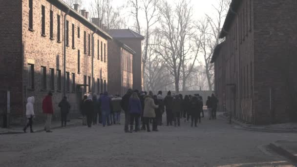 Widok Osób Odwiedzających Auschwitz — Wideo stockowe