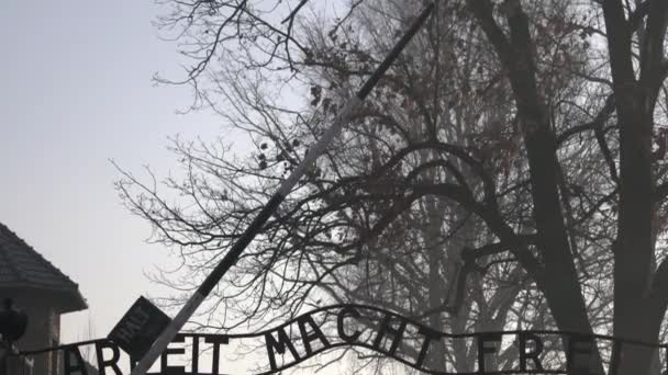 Inclinación Gente Puerta Auschwitz — Vídeo de stock