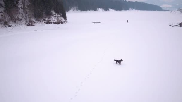 コリビタの凍った湖の空中ビュー — ストック動画