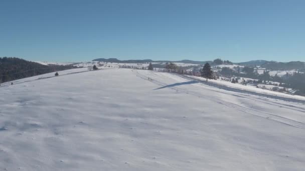 Vista Aérea Trineo Perro Corriendo Nieve — Vídeos de Stock