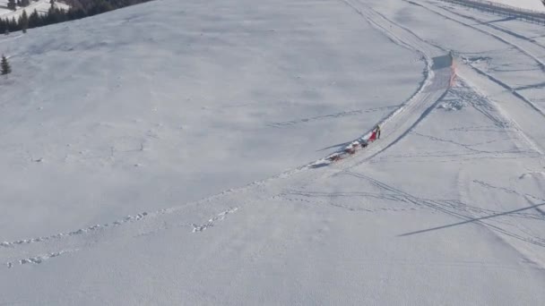 从空中俯瞰高山上的狗拉雪橇 — 图库视频影像