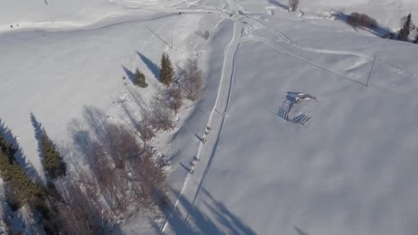 Kış Boyunca Yarışan Köpek Kızaklarının Hava Manzarası — Stok video