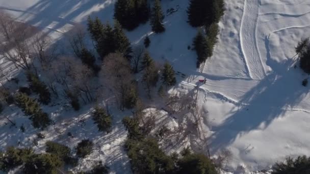 Aerial View Dog Sled Racing Mountains — Stock Video
