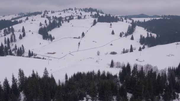 Vista Aérea Una Montaña Con Abetos Durante Invierno — Vídeos de Stock