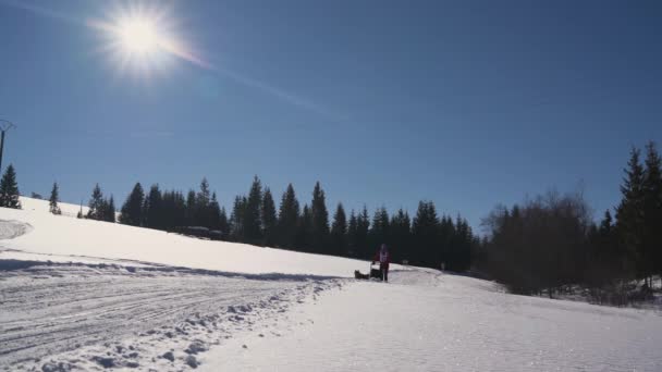 Donna Cavallo Una Slitta Cane Una Giornata Invernale Soleggiata — Video Stock