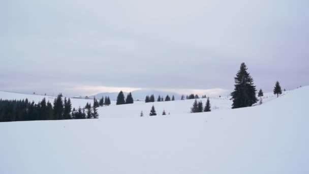 Montanha Paisagem Inverno — Vídeo de Stock