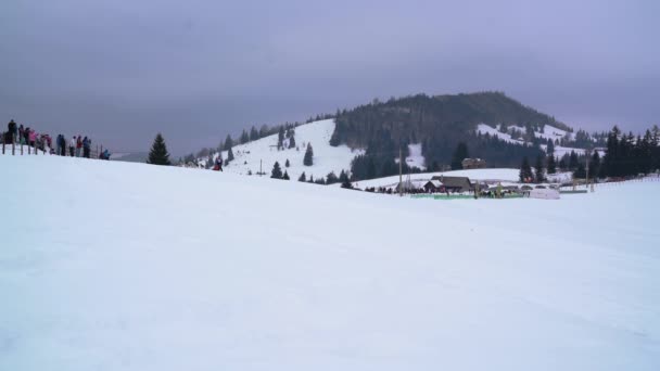 Cane Slitta Eccesso Velocità Strada Innevata — Video Stock