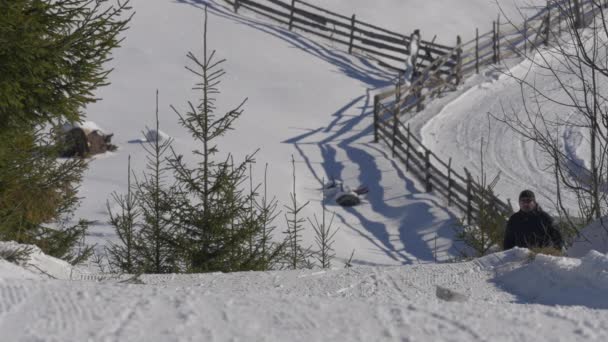 Uomo Cavallo Una Slitta Cane Durante Inverno — Video Stock