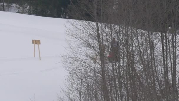Hundeschlittenfahrt Schnee — Stockvideo