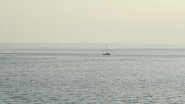 Segelbåt Liguriska Havet — Stockvideo