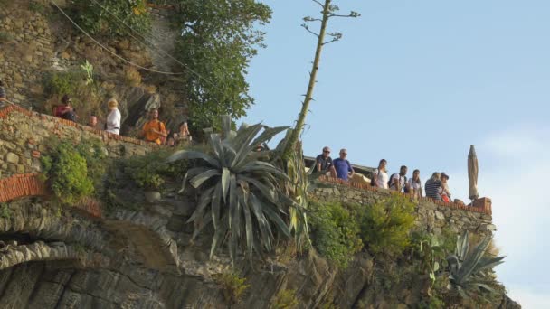 Admirando Vista Desde Riomaggiore — Vídeos de Stock