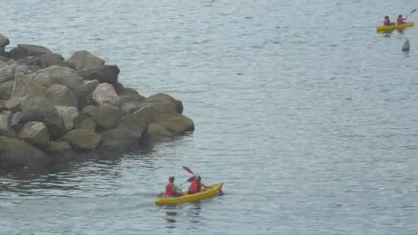 在利古里亚海划船 — 图库视频影像