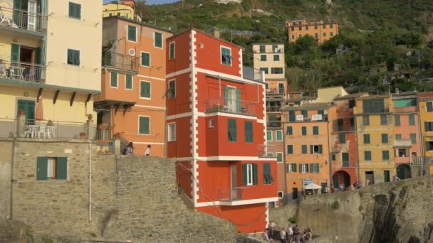 Vue Des Bâtiments Riomaggiore — Video