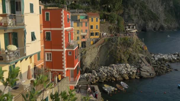 Buildings Coast Riomaggiore — Stock Video