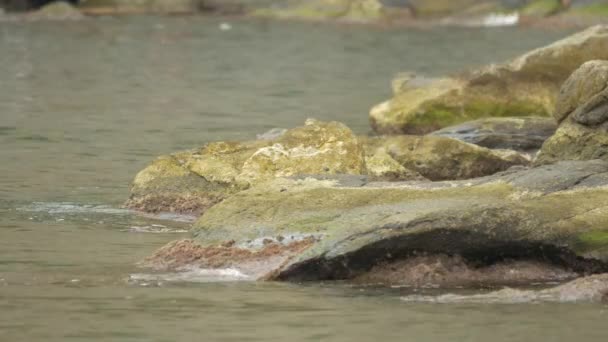 岩の多い海岸に届く小さな波 — ストック動画