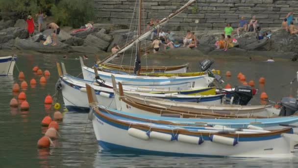 Barcos Remo Ancorados Perto Costa — Vídeo de Stock