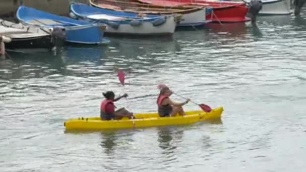 Women Kayaking Together River — Stock Video