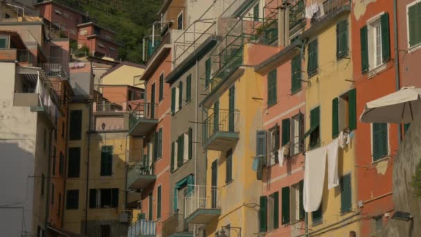 Vecchi Edifici Riomaggiore — Video Stock