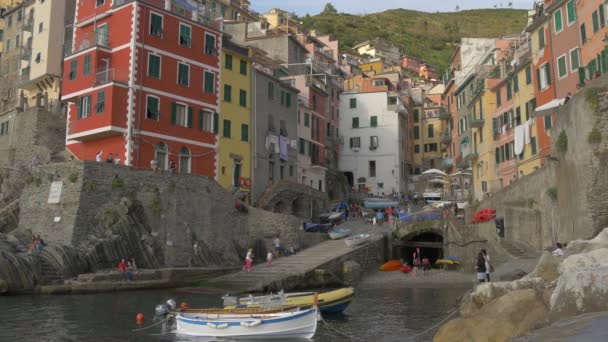 Riomaggiore Met Boten Huizen — Stockvideo