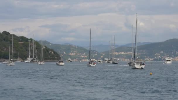 Boten Portovenere Haven — Stockvideo