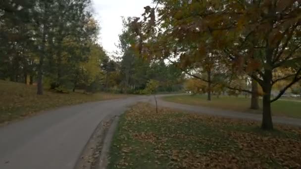 Podzimní Park Přírodní Koncept — Stock video